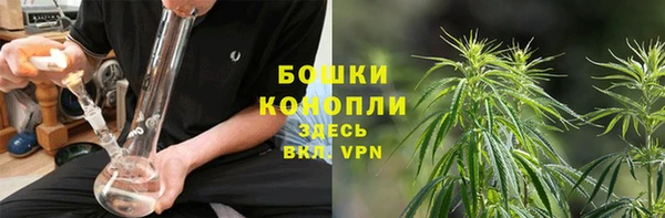МДПВ Семилуки